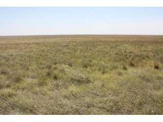 Property photo 2 - 480 Acre Land Auction Offered in 3 Tracts